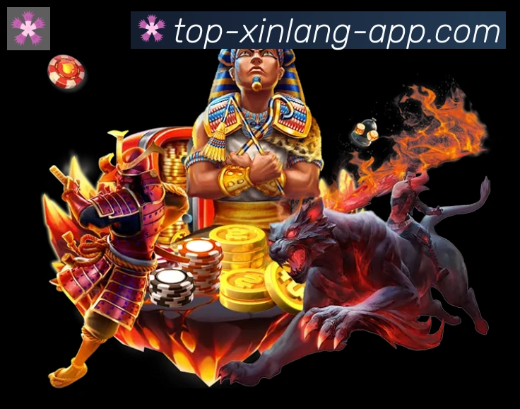 赛事专题整合